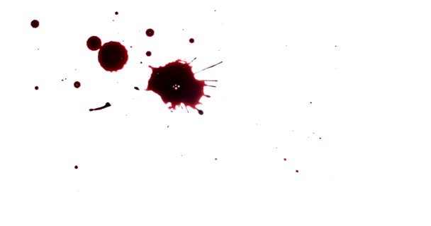 Salpicaduras de pintura roja. Set de salpicaduras de sangre. Efectos de película de terror - Imágenes, Vídeo