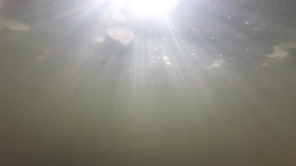 Горная река под водой - Кадры, видео