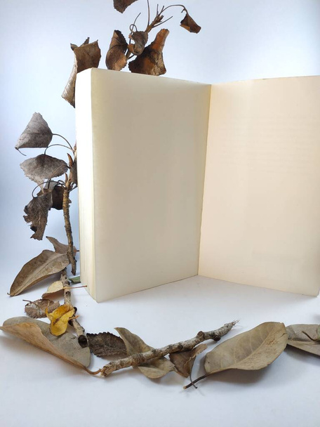 bibuła ozdobiona suchymi jesiennymi liśćmi - Zdjęcie, obraz