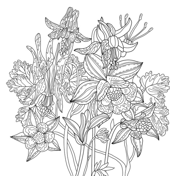 Vector coloring botanical illustration with columbine flowers . Colouring page. Floral print. Monochrome line drawing - Fotó, kép