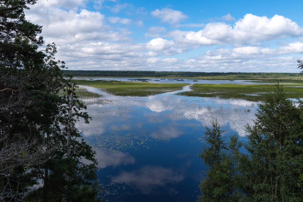 Pilvi heijastus Okhotnichye (Metsästäjät) järvi. Ekoväylä Rakovyye ozera luonnonsuojelualueella, Leningradin alue, Venäjä - Valokuva, kuva
