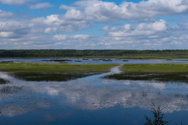 Wolkenreflectie in Okhotnichye (Jagers) Lake. Eco-route in het natuurreservaat "Rakovyye ozera" (rivierkreeftenmeren), regio Leningrad, Rusland - Foto, afbeelding