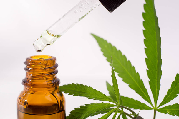 Sluiten druppelaar op de fles met cannabis olie tegen verse hennepbladeren op een witte achtergrond. - Foto, afbeelding