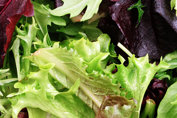 organische salade mix close-up - Foto, afbeelding