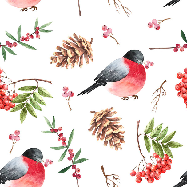 pattern with red birds cones, branches of mountain ash on, white background. watercolor illustrations for winter holidays - Foto, afbeelding