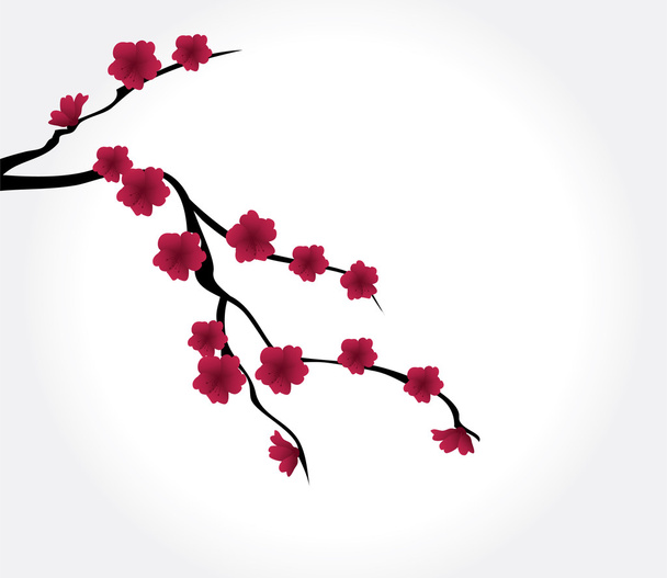 Άνθη κερασιάς - Διάνυσμα, εικόνα