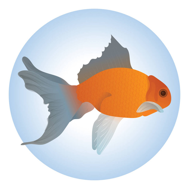 fish vector illustration, icon element background - Vettoriali, immagini