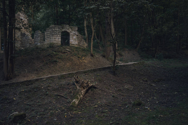 inquietante autunno foresta castello rovine punto di riferimento sito europeo Ottobre spazio ambientale e solitario sentiero senza persone in sera illuminazione crepuscolare Halloween concetto di immagine - Foto, immagini