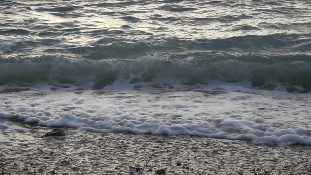 olas en la playa - Metraje, vídeo