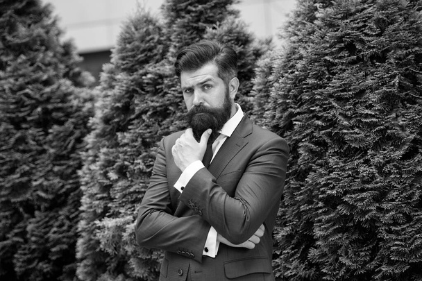 Time for thought. Business center. Alone with my thoughts. Business man bearded wear fashionable suit. Successful entrepreneur. Business life. Man businessman classic style. Businessman well groomed - 写真・画像