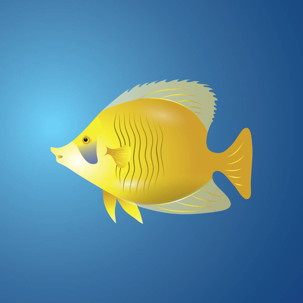 fish icon vector illustration - Wektor, obraz
