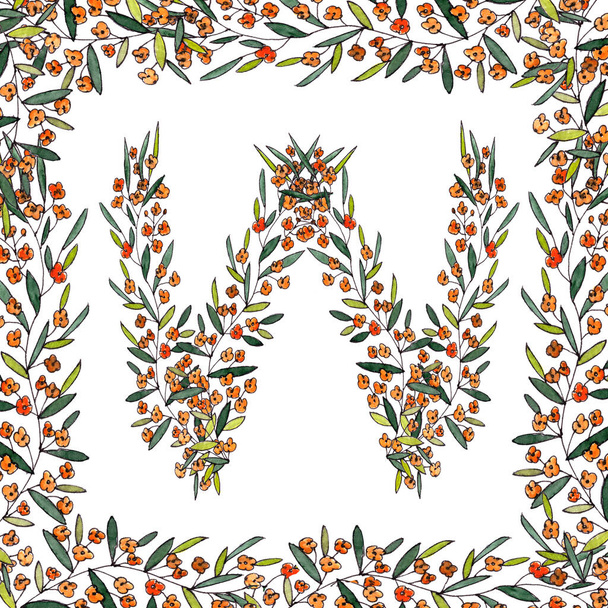 İngilizcenin W harfi ve Latin alfabesi. Beyaz arkaplanda kare çerçeveli renkli grafikler. Portakal çiçekleri açan filizlerin W harfi. Yüksek kaliteli illüstrasyon - Fotoğraf, Görsel