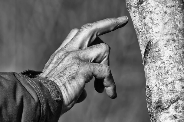 Ihmisen käsi puussa mustavalkoisena
 - Valokuva, kuva