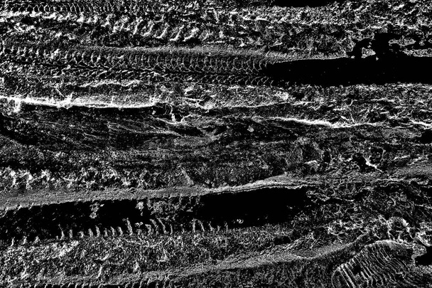 fondo grunge abstracto en blanco y negro. textura monocromática.  - Foto, imagen