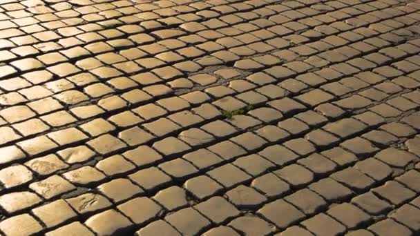 adoquines textura piedras cuadradas y la luz del sol - Metraje, vídeo