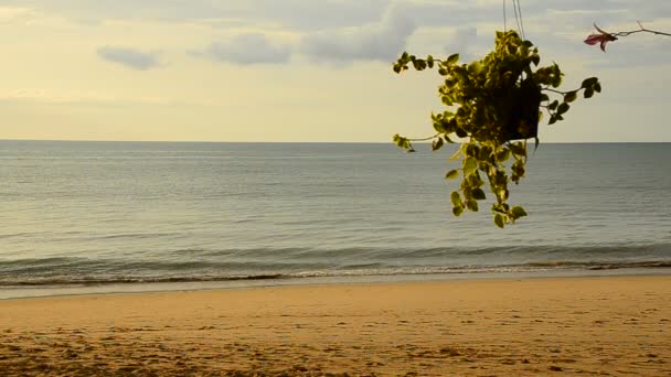 szélturbinák a strandon - Felvétel, videó