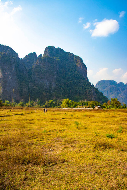 Vista panorámica de las tierras altas con vacas en Laos  - Foto, Imagen
