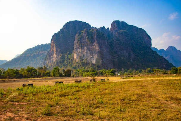 Szenische Aussicht auf das Hochland mit Kühen in Laos  - Foto, Bild