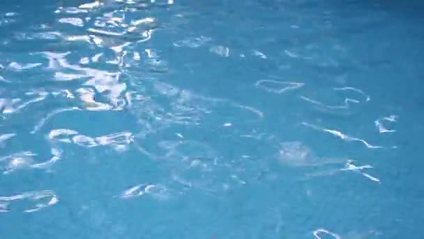 Úszómedence tiszta vízzel - Felvétel, videó