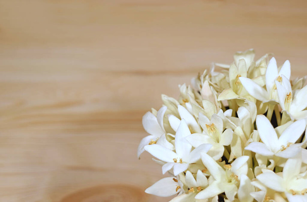 Rengeteg gyönyörű fehér Millingtonia virágok világosbarna fa asztal, szabad hely a szöveg és a design - Fotó, kép