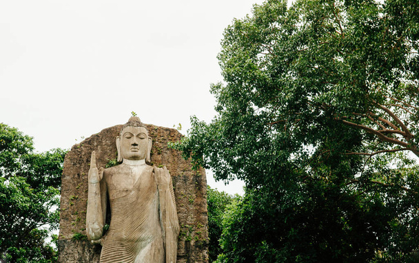 Aukana Buddha 'nın Colombo şehrindeki taş heykelinin kopyası. Sri Lanka - Fotoğraf, Görsel