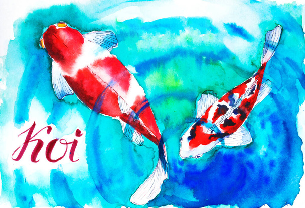 Red and white koi fish, hand drawn with watercolour - Foto, Imagen