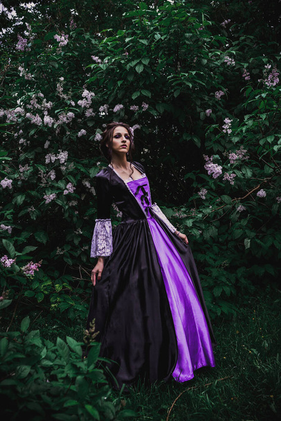 Lady in black and purple baroque dress - Foto, Imagem
