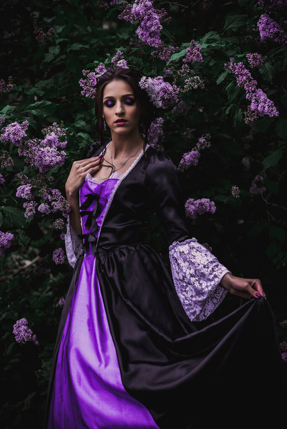 Lady in black and purple baroque dress - Foto, Imagem