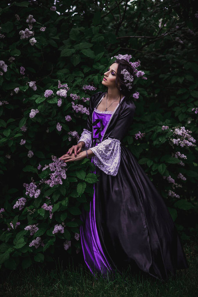 Lady in black and purple baroque dress - 写真・画像