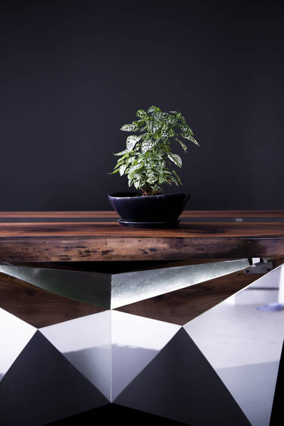 Groene plant op een luxe handgemaakte epoxyhars tafel - Foto, afbeelding