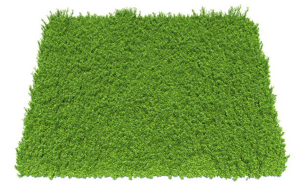 solid carpet of green grass close-up, 3d illustration - Foto, imagen