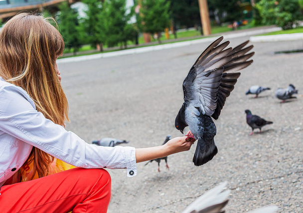Güzel bir güvercin kanatlarını açtı ve genç bir kızın şefkatli ellerine güvenerek oturdu. - Fotoğraf, Görsel