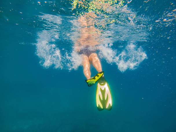 mulher em flipper vista subaquática praia férias verão temporada
 - Foto, Imagem