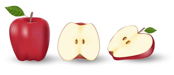 Pomme rouge entière et moitié de pomme. Fruits frais isolés sur blanc. Illustration vectorielle - Vecteur, image
