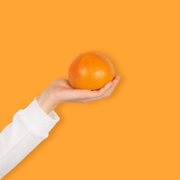 女性の手は、オレンジの背景に隔離された明るいオレンジグレープフルーツを保持します。オレンジの手に. - 写真・画像