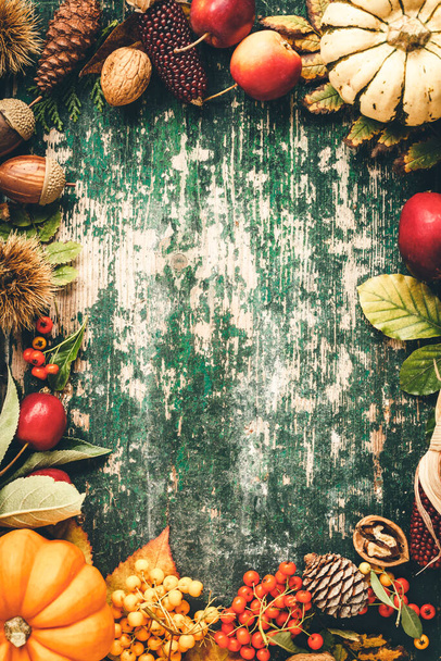 Autumn background, autumn and halloween concept, space for text - Valokuva, kuva