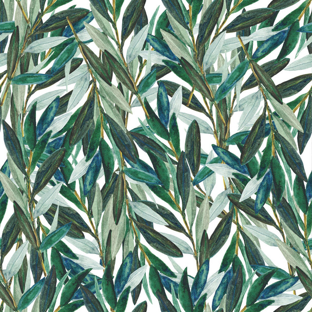 pattern of olive tree twigs with green leaves - Foto, Imagem