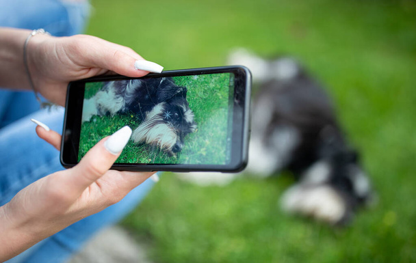 Nahaufnahme von Teenagermädchen beim Fotografieren ihres auf dem Rasen liegenden Hundes mit Mobiltelefon, Bild auf dem Display - Foto, Bild