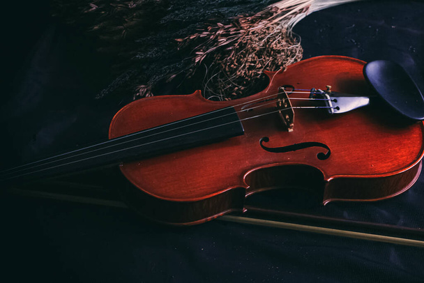 Деревянная скрипка поставлена рядом с сушеным цветком, на фоне гранж поверхности, винтажный и художественный тон - Фото, изображение
