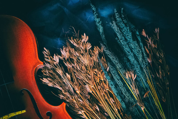 Η αφηρημένη τέχνη σχεδιασμό φόντο του βιολιού μισή μπροστινή πλευρά και αποξηραμένα λουλούδι ομάδα τεθεί σε grunge φόντο επιφάνεια, vintage και τον τόνο της τέχνης, θολή φως γύρω - Φωτογραφία, εικόνα