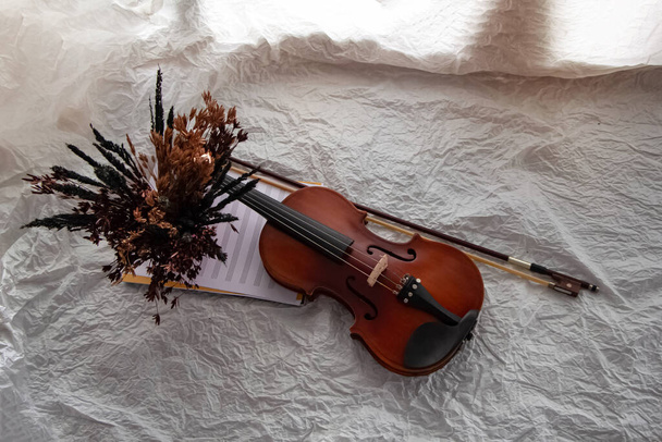Geige und Bogen neben getrockneten Blumentopf auf Hintergrund gestellt, Vorbereitung für die Praxis, verschwommenes Licht um - Foto, Bild