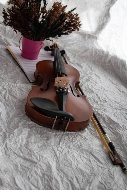 Скрипка и лук положить рядом сушеный цветочный горшок, подготовиться к практике, размытый свет вокруг - Фото, изображение