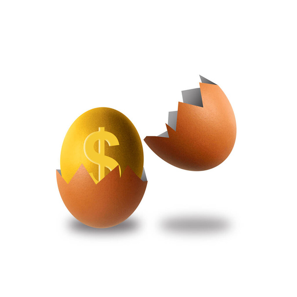 Uovo dorato all'interno di un uovo rotto marrone su sfondo bianco. concetto di successo economico finanziario - Foto, immagini