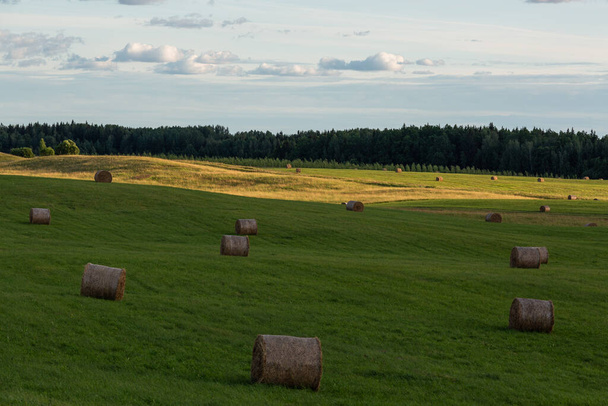 зеленый пейзаж с рулонами сена на закате - Фото, изображение