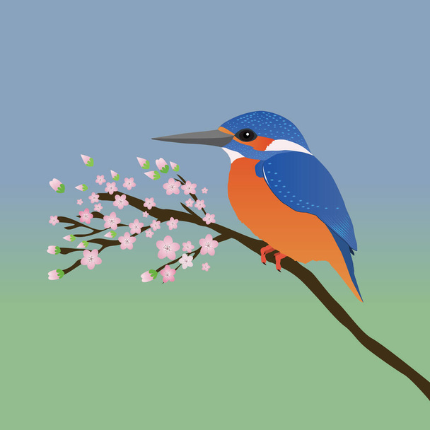 PrinA digital vector drawing in of a kingfisher. Il martin pescatore siede tranquillamente su un ramo con fiori rosa Lo sfondo è un gradiente verde blu - Vettoriali, immagini