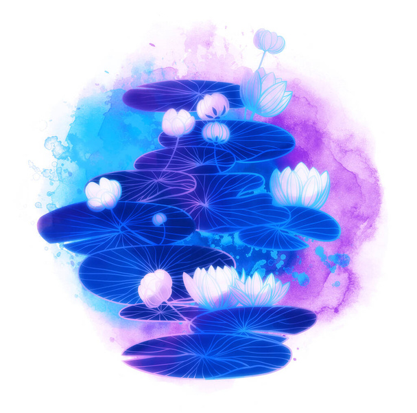 Fantastic water lilies and lotuses set for floral designs isolated on white background. Digital lines hand drawn picture with watercolour texture, spots and splashes. Mixed media artwork.  - Fotografie, Obrázek