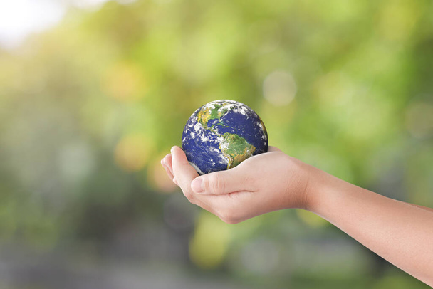 Концепция Дня окружающей среды: Рука держит земной шар на размытом фоне природы. Элементы этого изображения предоставлены НАСА - Фото, изображение
