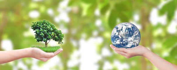 Životní prostředí den koncept: Dětské ruce drží strom a zem přes rozmazané přírodní pozadí. Prvky tohoto snímku poskytla NASA - Fotografie, Obrázek