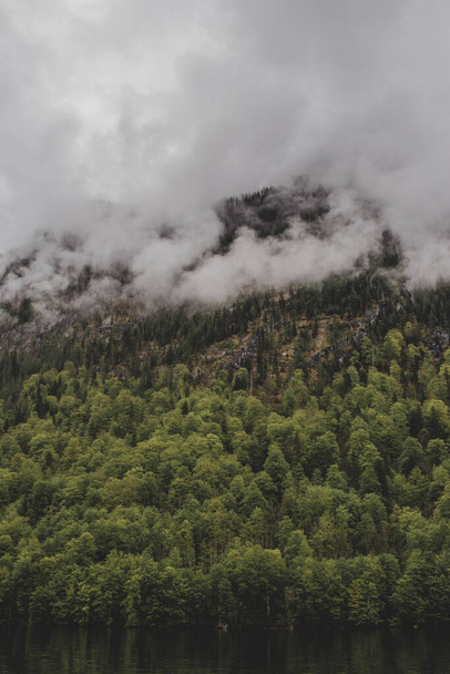 Vuoren peitossa tiheä metsä taustalla järven & harmaa pilvinen taivas. Pystysuora taustakuva - Valokuva, kuva