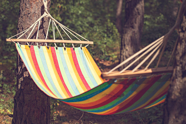 Colorful striped hammock hanging between two pines in the woods. Weekend away from the city - Photo, Image